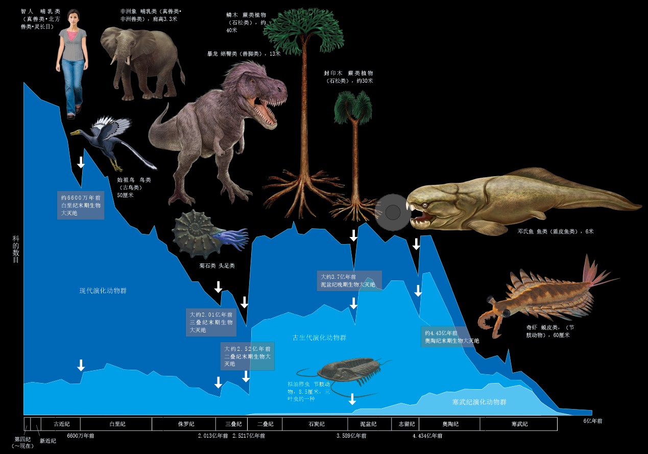 20151166生物大灭绝与全球冰冻.jpg