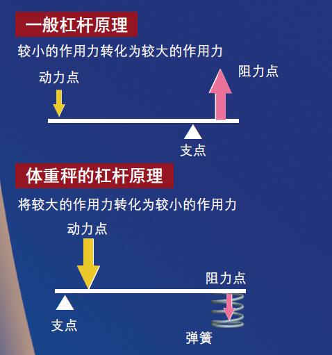 120607_人体成分分析仪 图.jpg