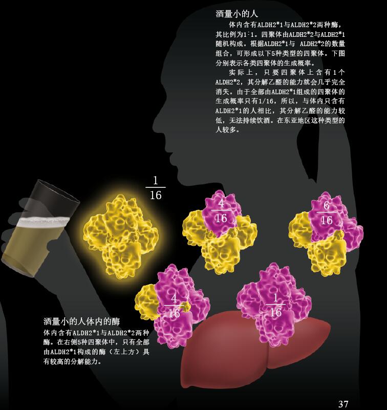 201604p34_f2.jpg