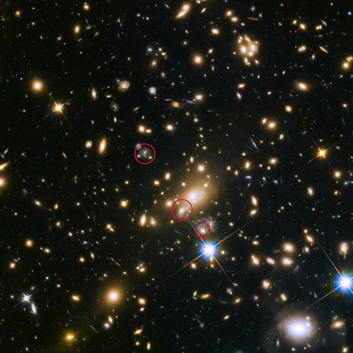 201603p105_f2.jpg