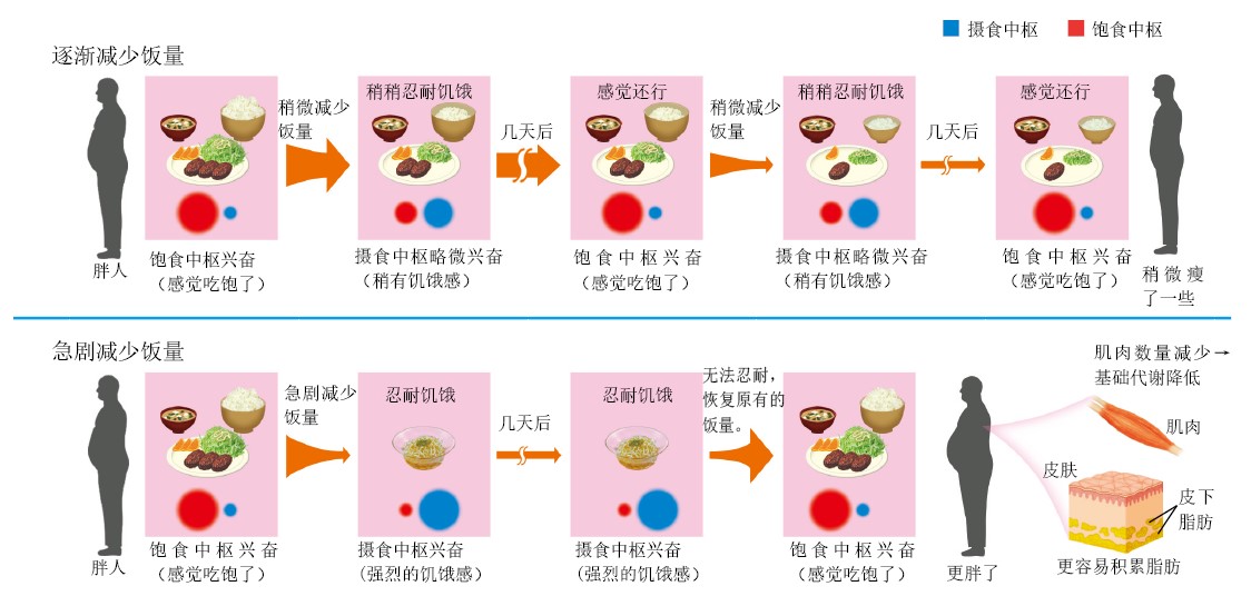 20130358为什么会觉得饿_f2.jpg
