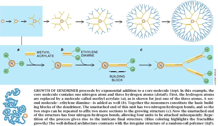 Dendrimer Molecules-03.jpg