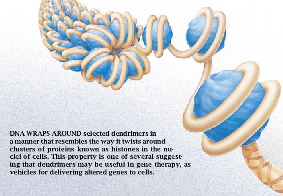 Dendrimer Molecules-05.jpg