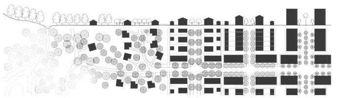 科学改造老城区8.png