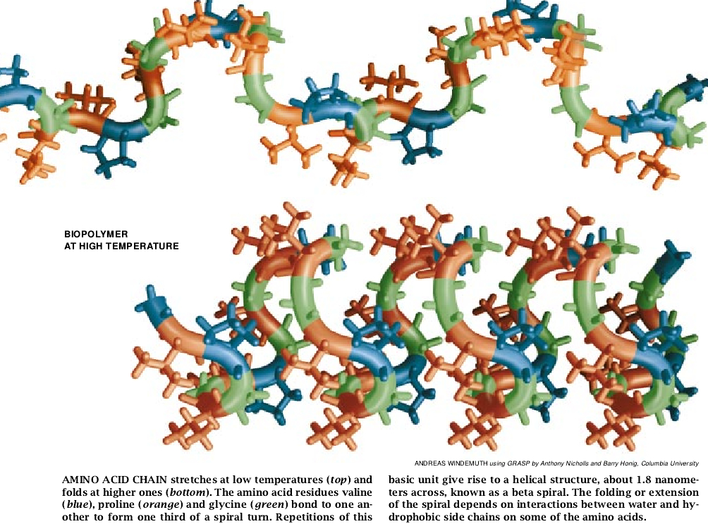 Elastic Biomolecular Machines-04.jpg