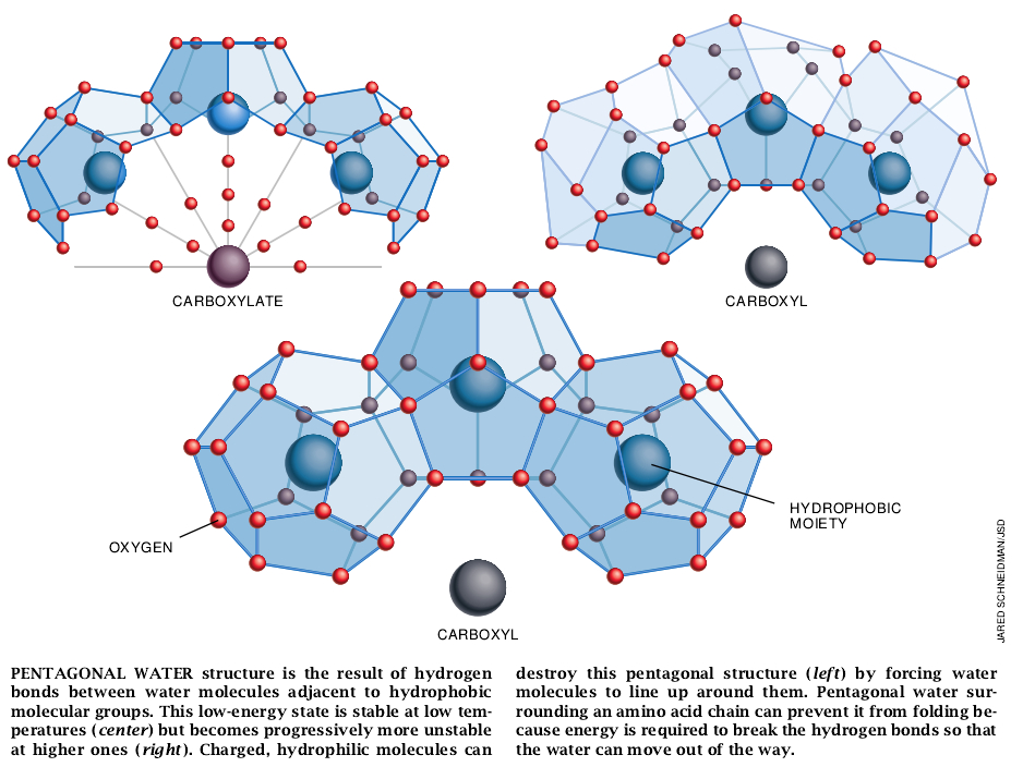 Elastic Biomolecular Machines-05.jpg