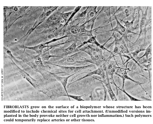 Elastic Biomolecular Machines-06.jpg