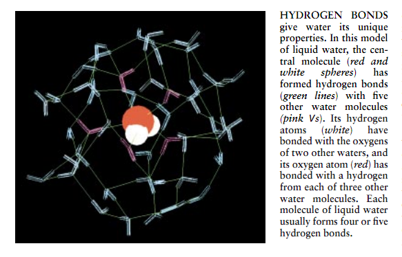 模拟水和生命分子 1.png