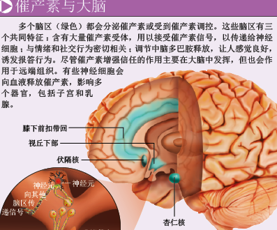 我们为什么会相信陌生人 (3).png