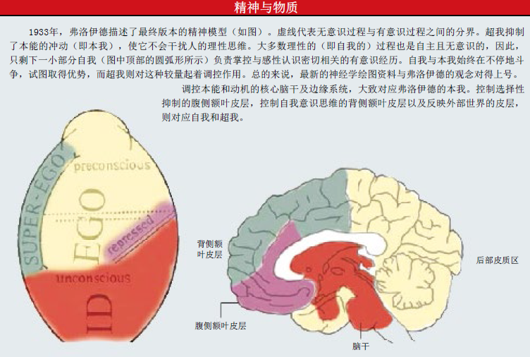 证明弗洛伊德 (2).png