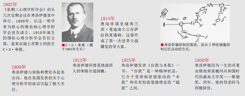 证明弗洛伊德 (8).png