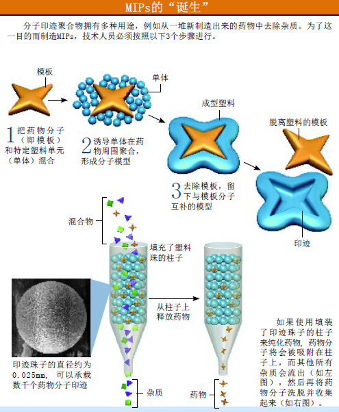 分子印迹 (1).png