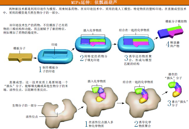 分子印迹 (2).png