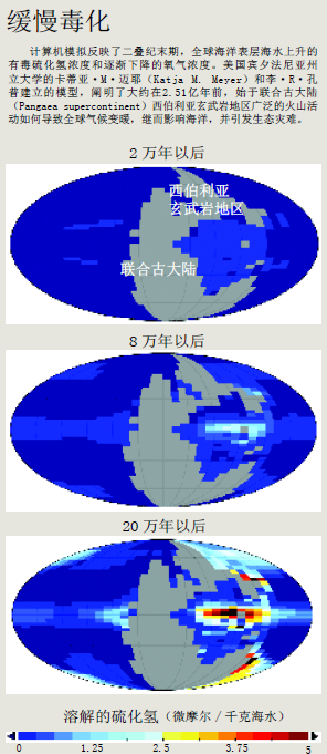 分子印迹 (4).png