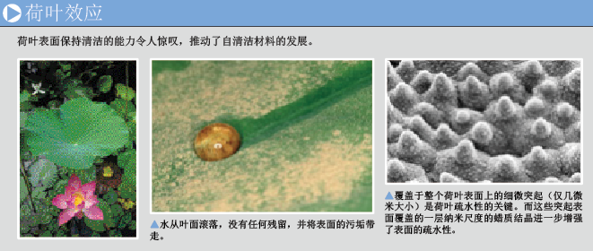 让材料自我清洁 (2).png