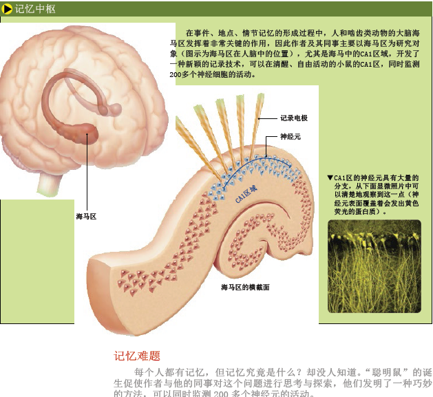 记忆密码 (2).png