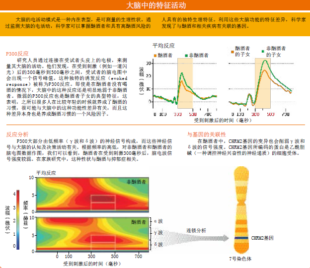 酒瘾开关 (2).png