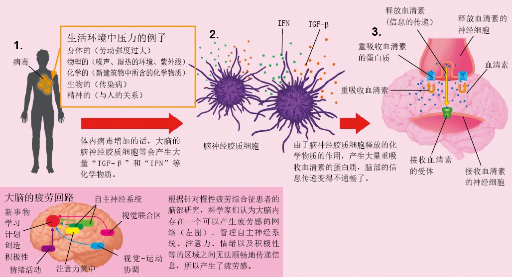 130168为什么觉得累_f3.jpg