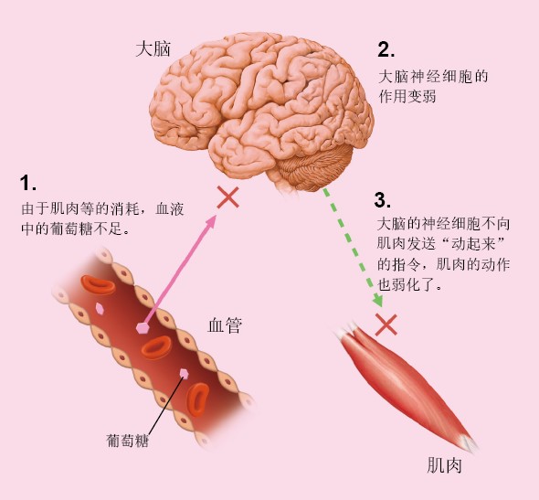 130168为什么觉得累_f1.jpg