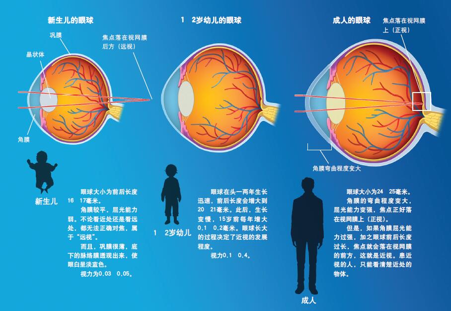 120434_眼病及治疗-1 图1.jpg