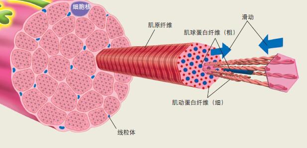 120839_奥运-8 图.jpg