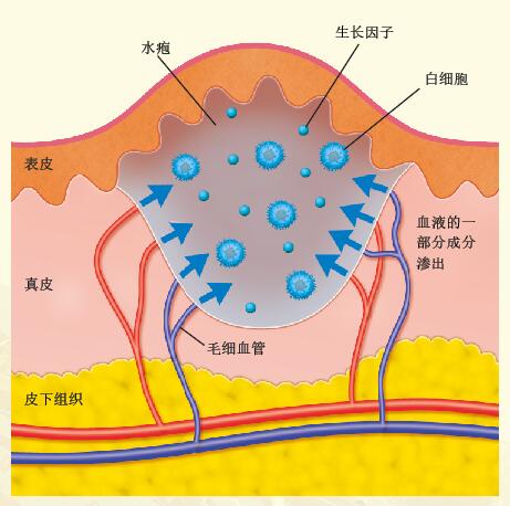 201605p96_f2.jpg