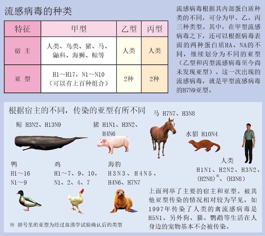 20130511中科院专家详解H7N9-上_f1.jpg