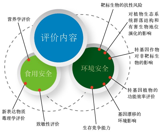 20130814细说转基因-上.jpg