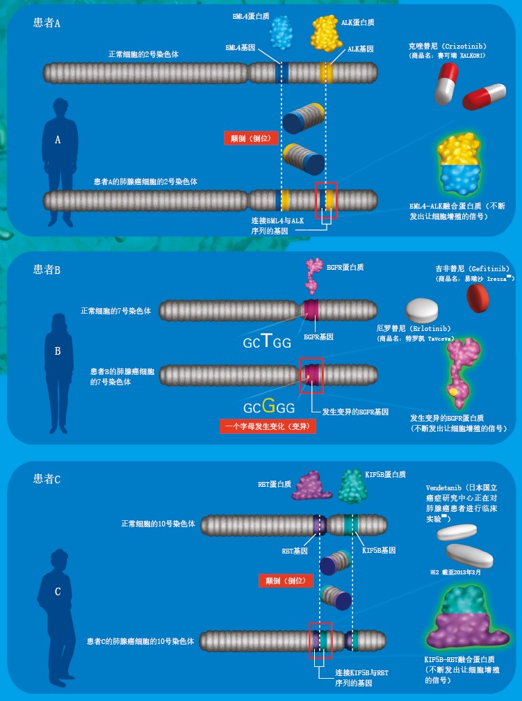 20130832借助基因组诊断和治疗疾病.jpg