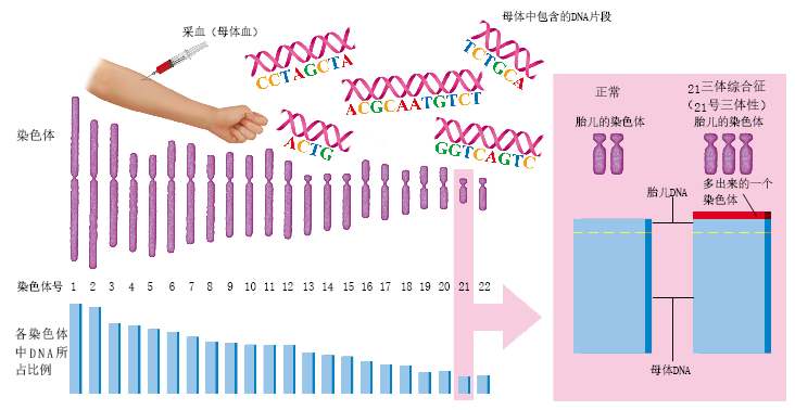 20130850全新的产前检测-下.png