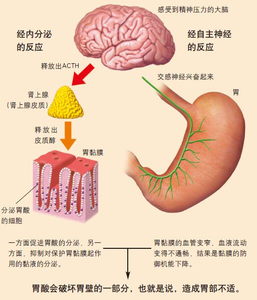 201105p71_f1.jpg