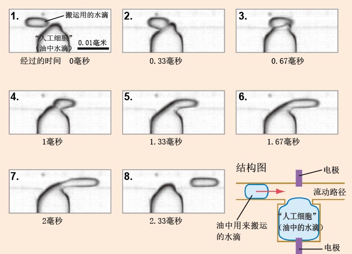 20131048生命的物理学.jpg